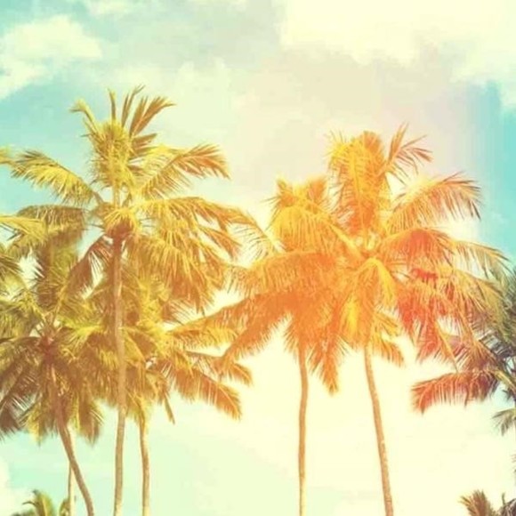 mylifeinla